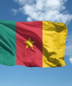 Bandiera Camerun