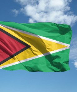 Bandiera Guyana