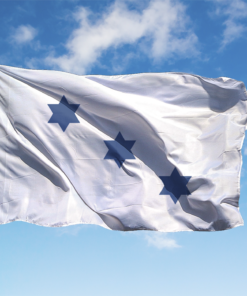 BANDIERA DISTINTIVA AMBASCIATORE