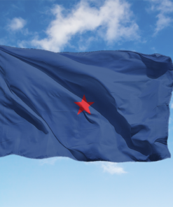 BANDIERA GENERALE DI BRIGATA AEREA