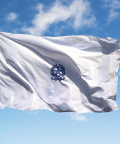 BANDIERA DISTINTIVA SOTTOSEGRETARIO DI STATO